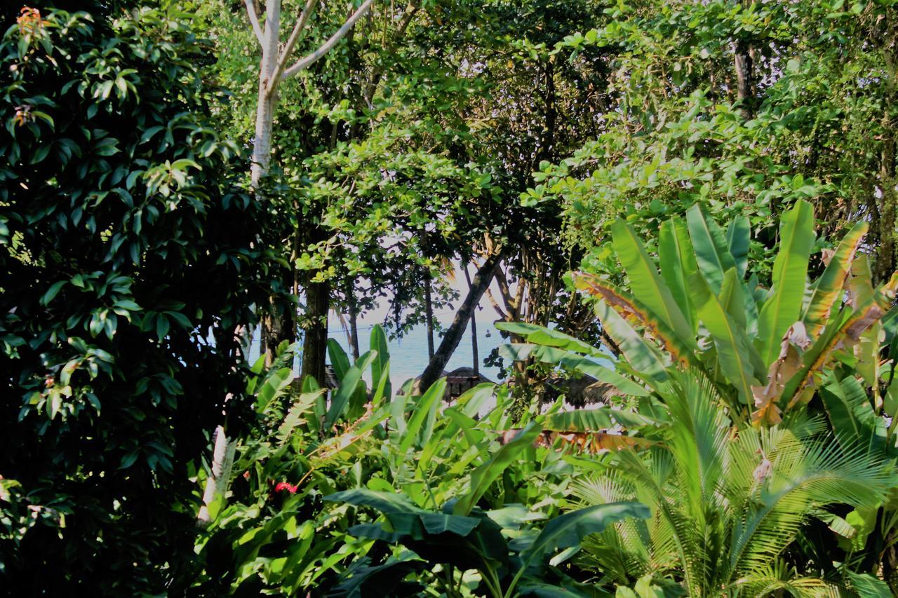 Casa Natural Puerto Viejo Hotel Puerto Viejo de Talamanca Kültér fotó