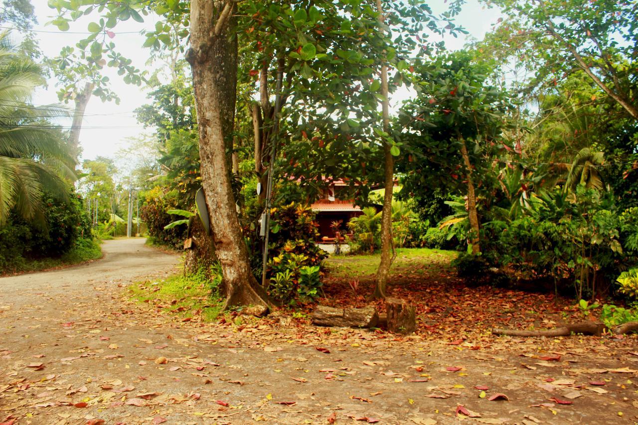 Casa Natural Puerto Viejo Hotel Puerto Viejo de Talamanca Kültér fotó